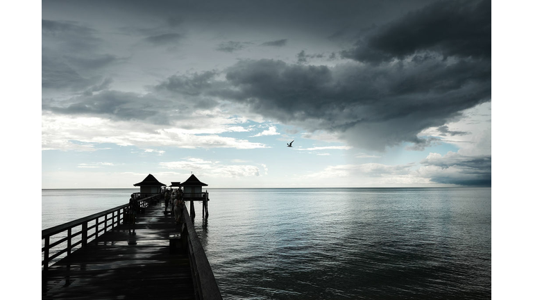 Red Tide
