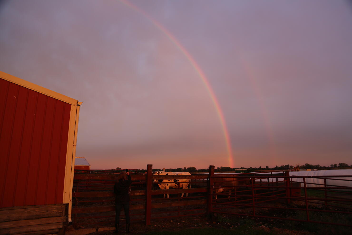 RAINBOWS!