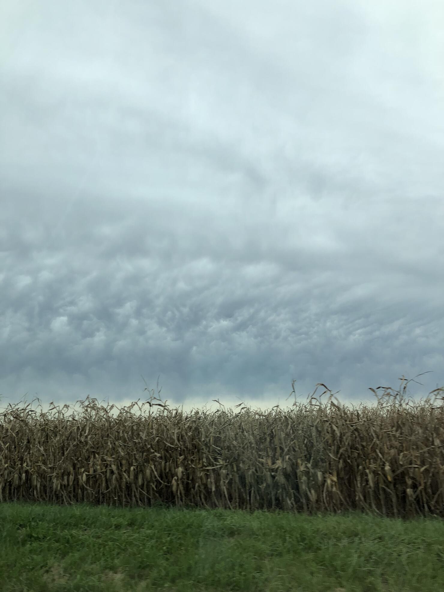 FARM TOUR SIGHTINGS