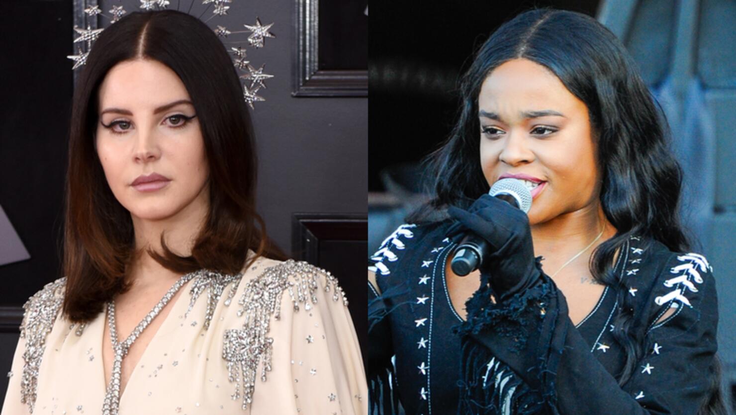 lana del rey azealia banks fight