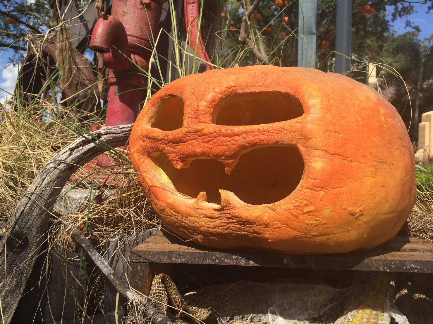 Halloween