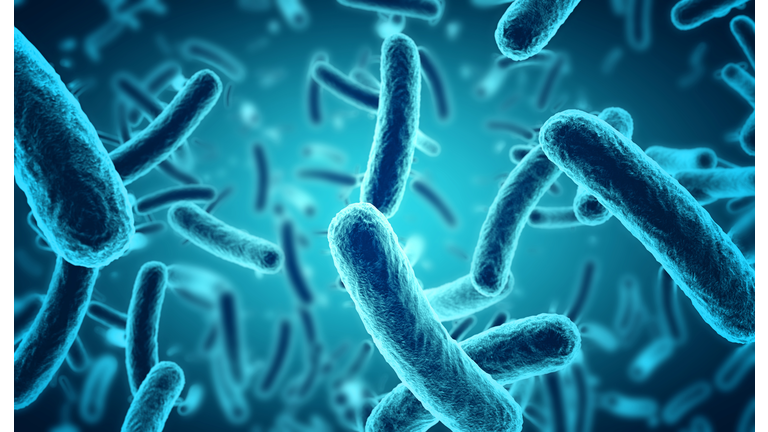 microscopic blue bacteria background