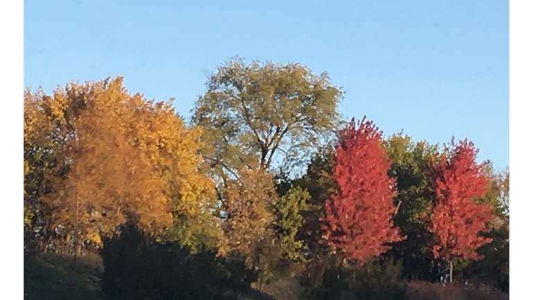 Still some beautiful fall colors along I-35 between Des Moines and Ames Saturday morning. Photo by Wendy Wilde