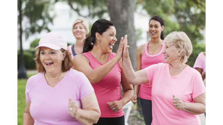 Strides Against Breast Cancer