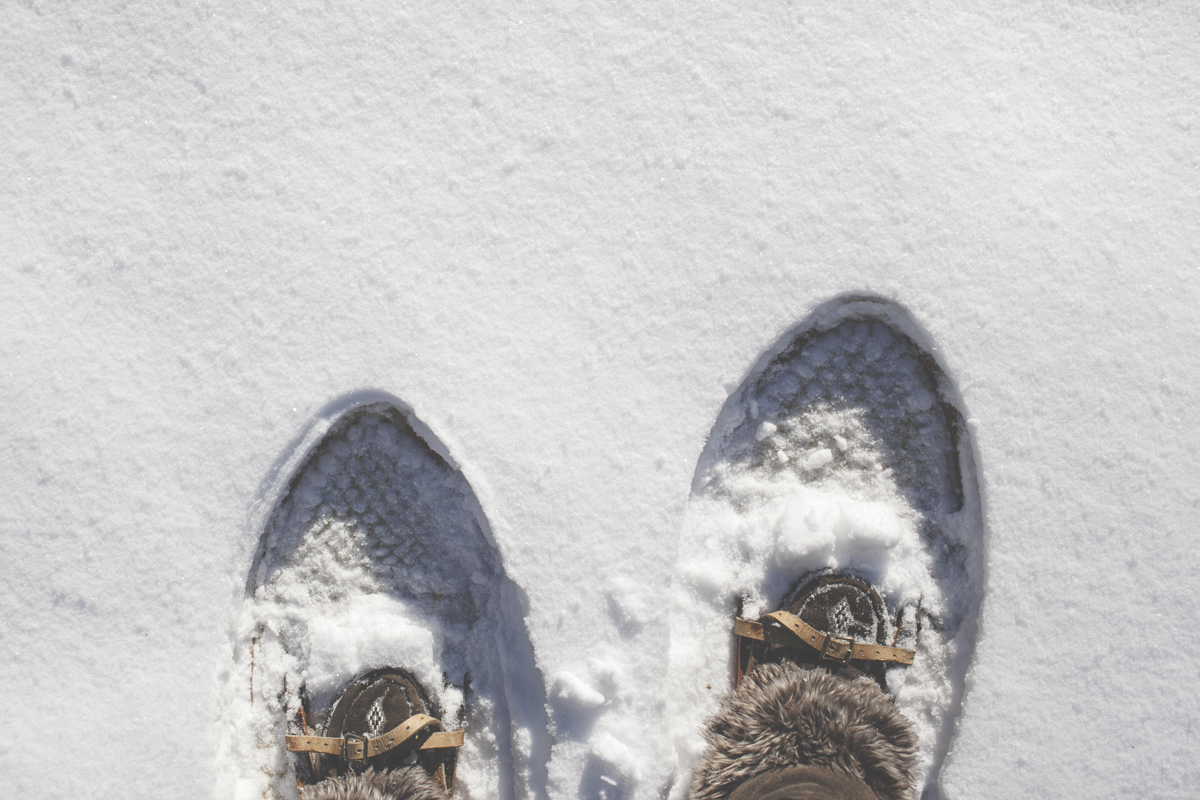 These Are the Best Snowshoeing Trails Around the Twin Cities - Thumbnail Image