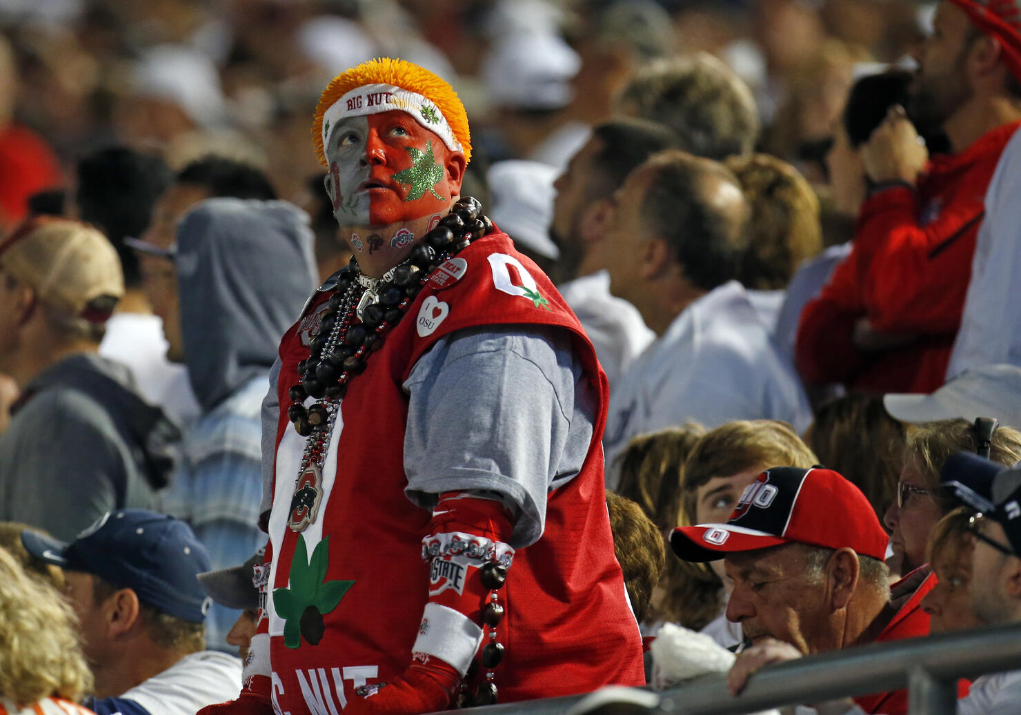 Ohio State Fan