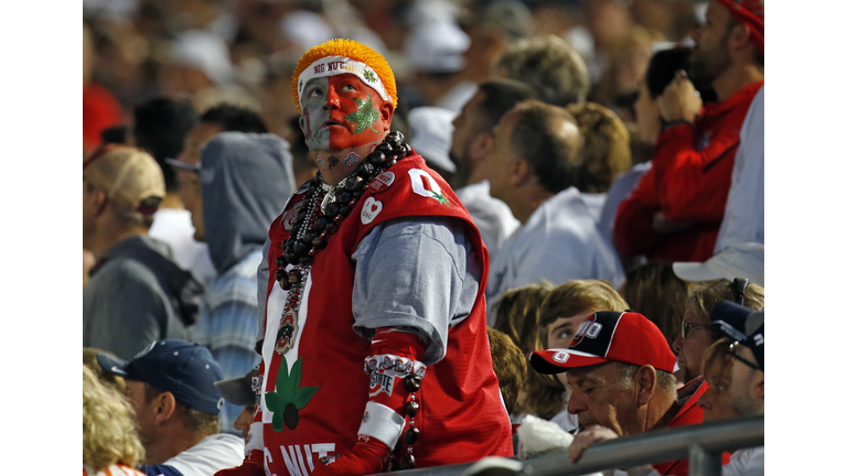 Ohio State Fan