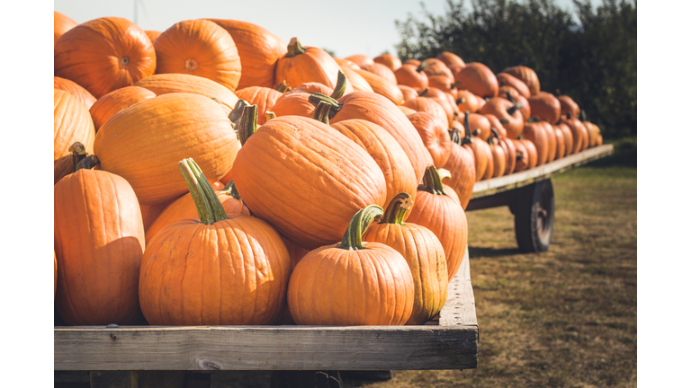 Pumpkins Getty Images