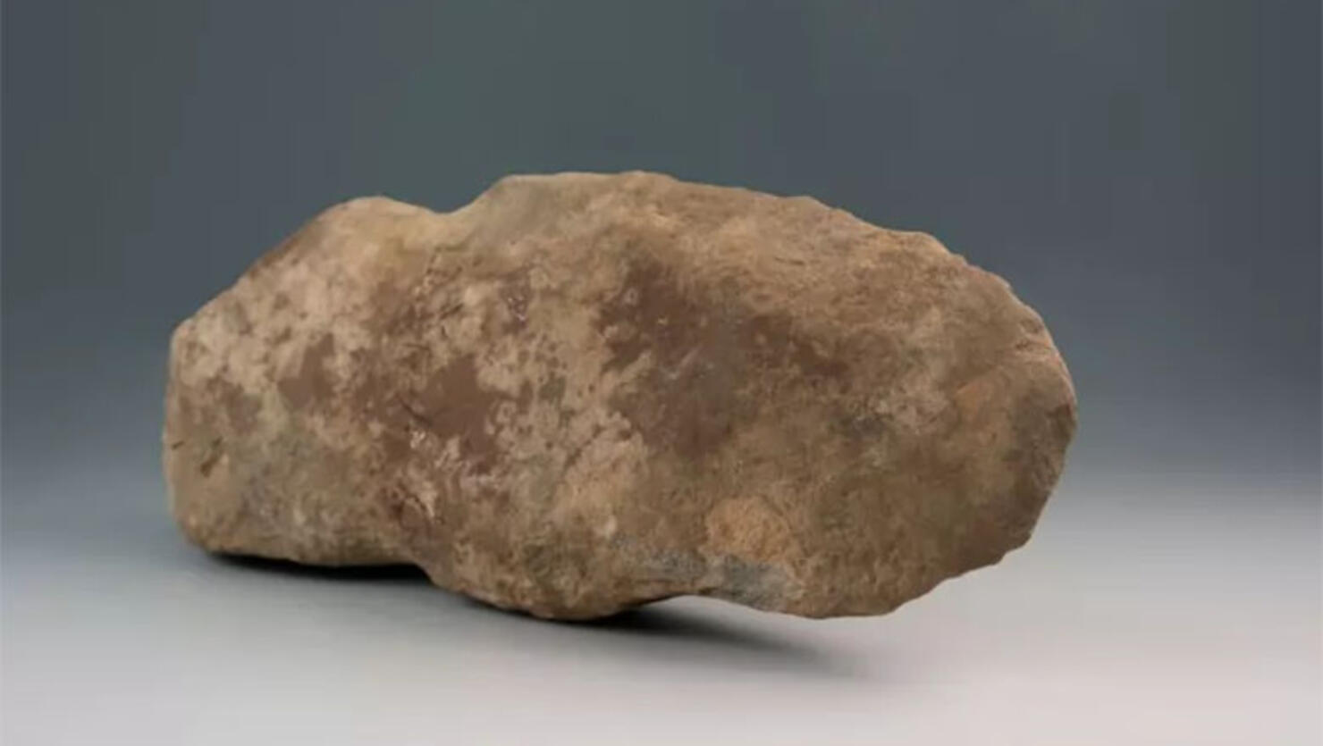 A 6,000-year-old ax head from Mount Vernon.
