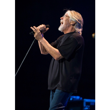 Bob Seger - Beautiful Loser game