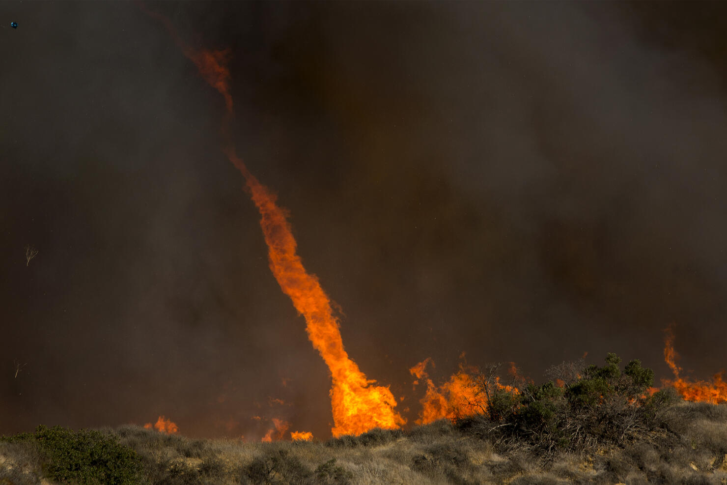 Could fire. Смерч с огнем. Fire Tornado forming. Largest Fire Whirl 1923. A column of Fire
