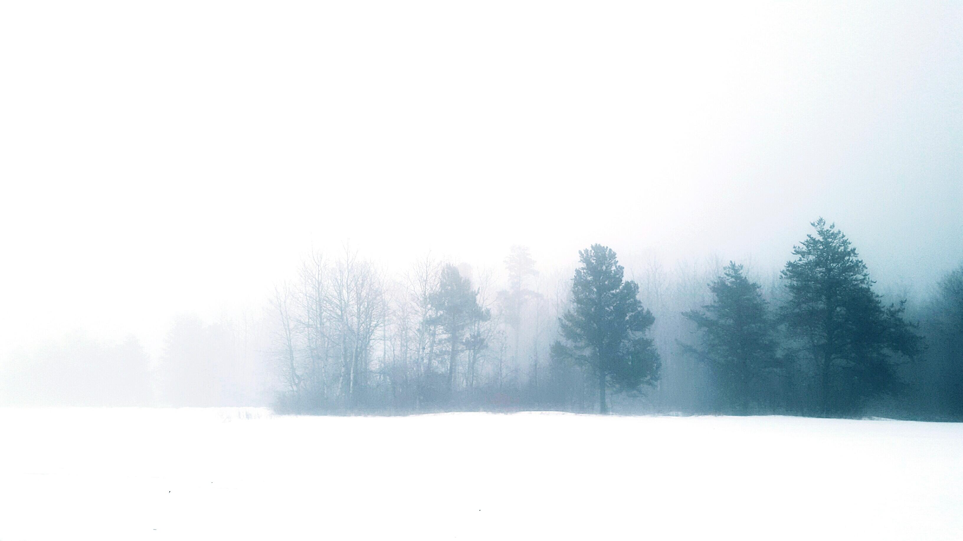 This Is The Coldest Town In All Of Minnesota - Thumbnail Image