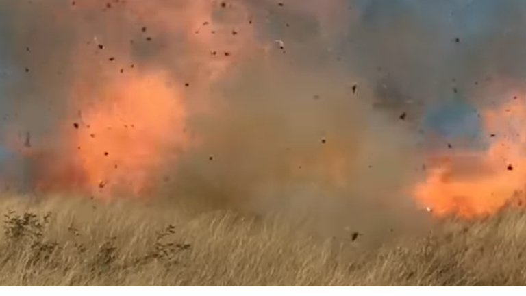 gender reveal party sparks wildfire