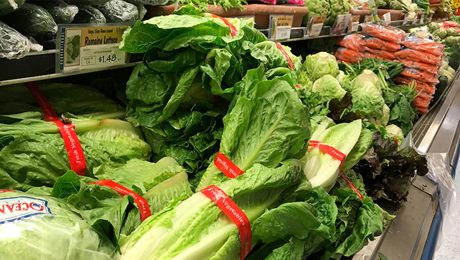 Romaine lettuce is displayed at a grocery store