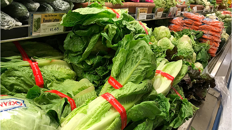 Romaine lettuce is displayed at a grocery store