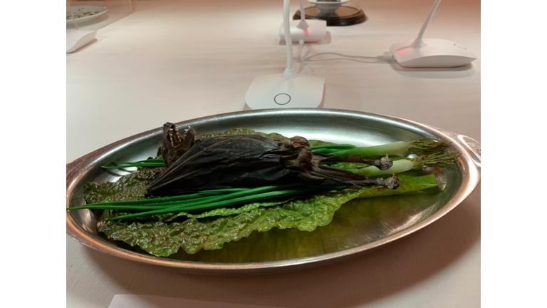 Disgusting food museum debuts in Los Angeles