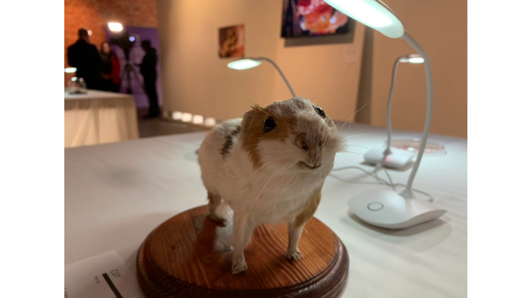 Disgusting food museum debuts in Los Angeles