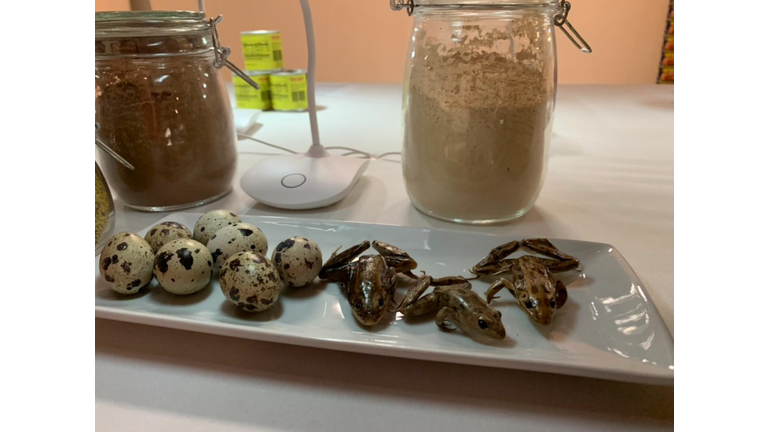 Disgusting food museum debuts in Los Angeles