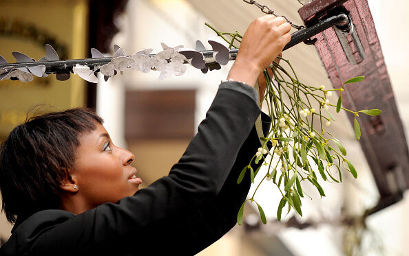 Christmas traditions on the way out Hanging Mistletoe