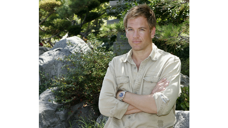 michael weatherly