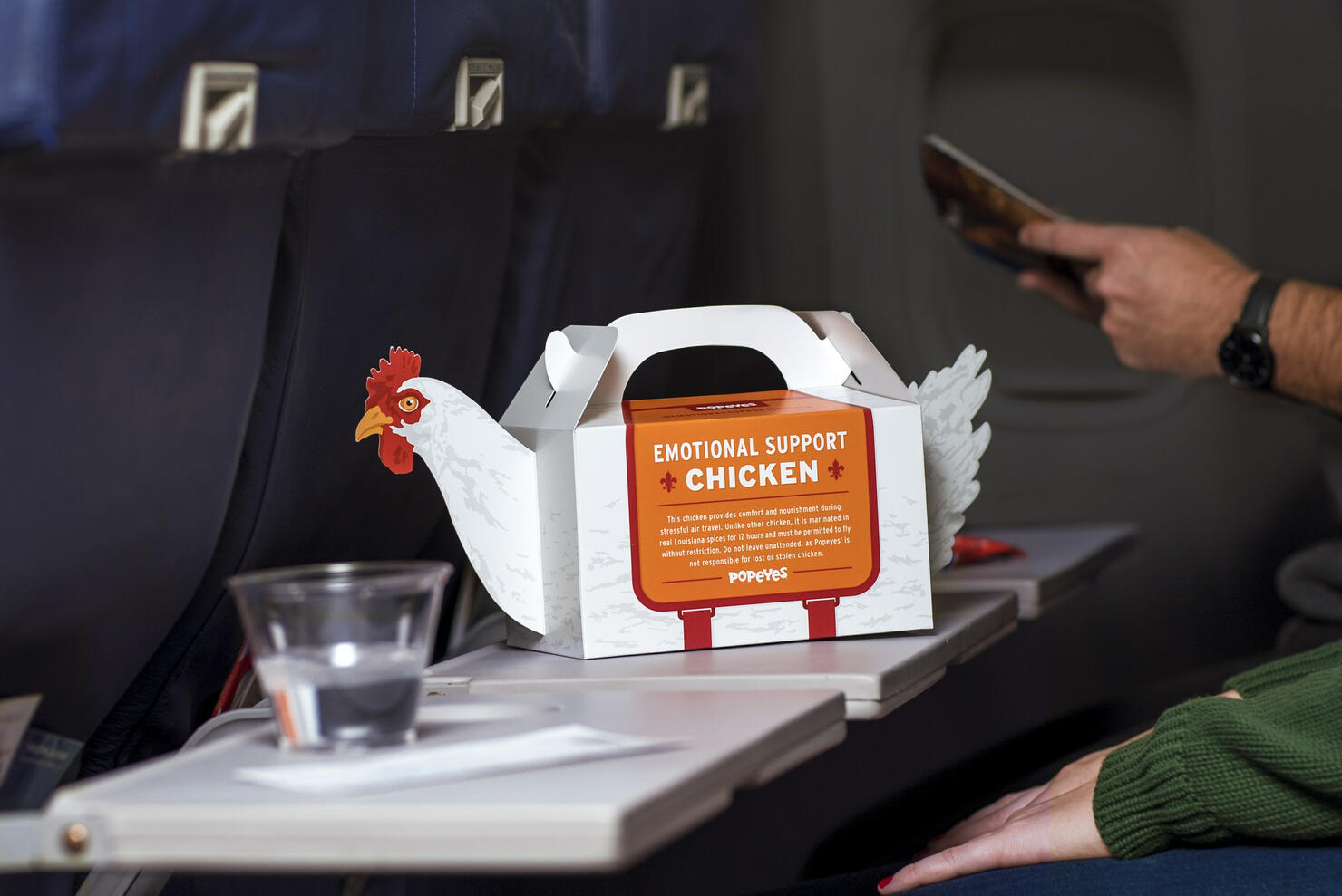 emotional support chicken for sale