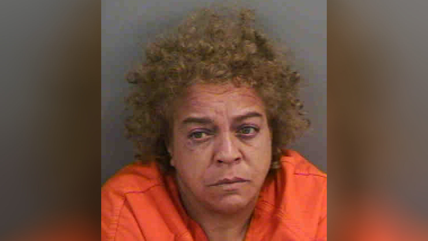 Florida Woman holds up postal truck with plastic gun