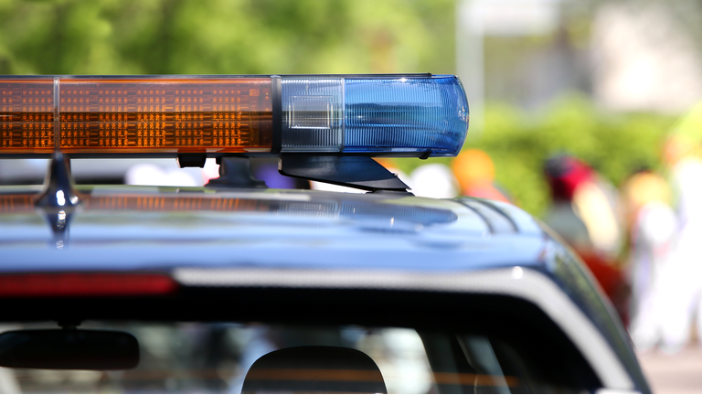 West Michigan Teen Steals Cop Car To Kick Off 2019