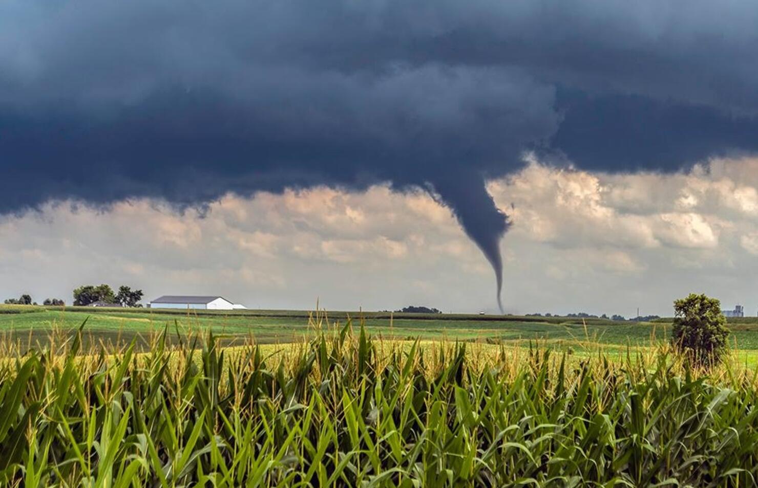 Pella tornado photographed by Willard Sharp, by permission Iowa Storm Chasing Network