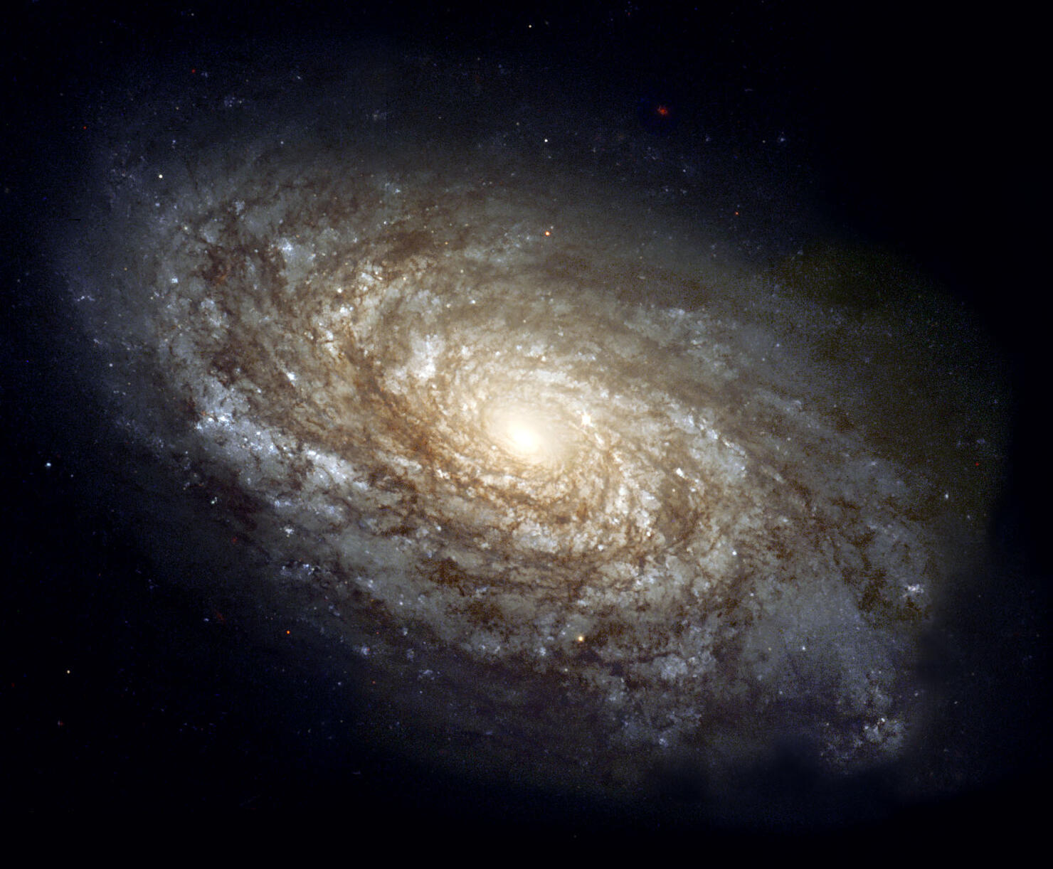 lots of fast radio bursts detected