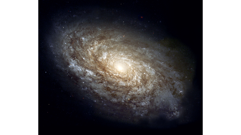 lots of fast radio bursts detected