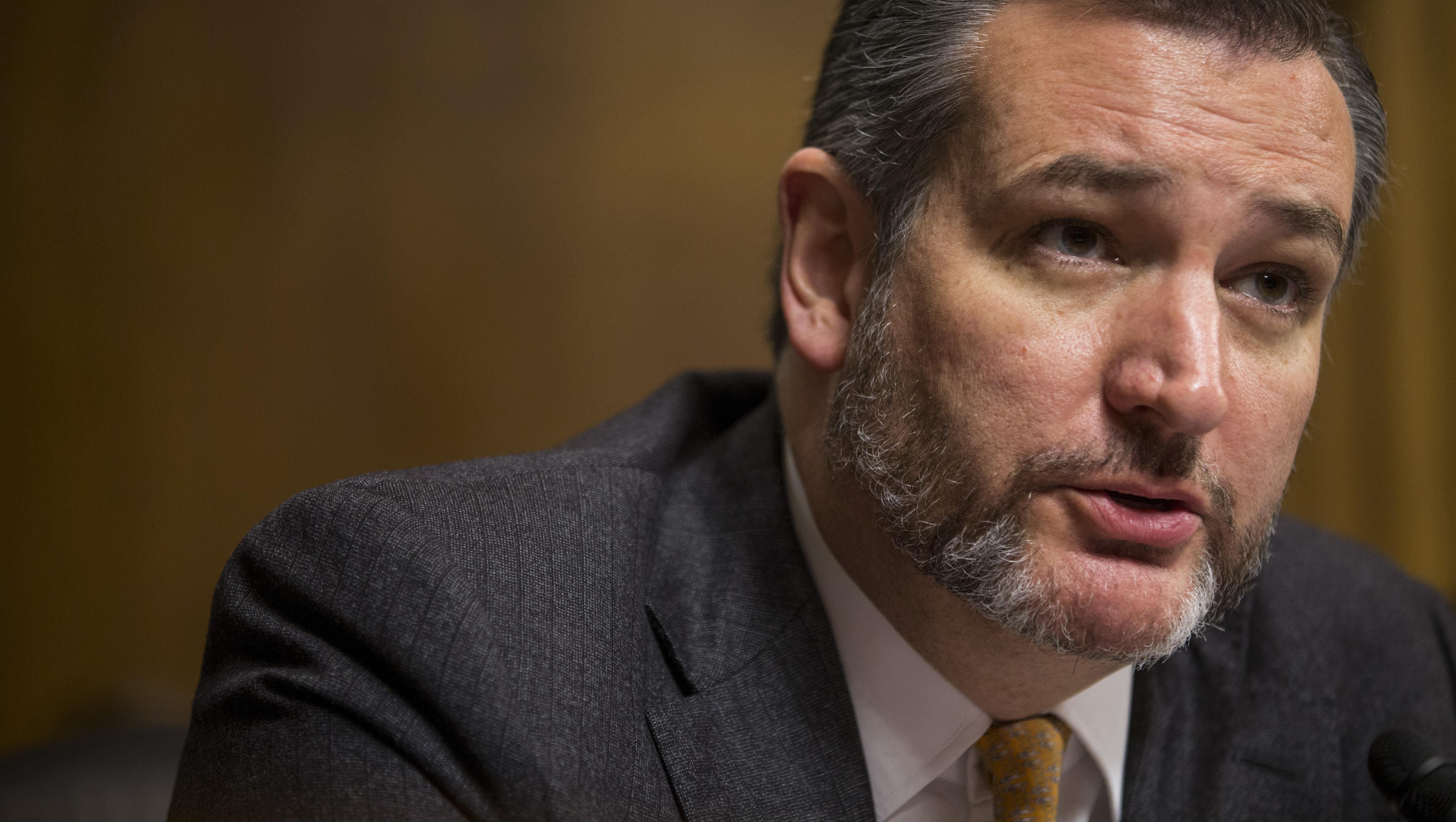 Ted Cruz and his beard blame Democrats for Shutdown
