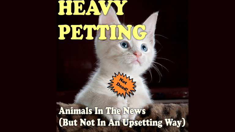 Heavy Petting with Wayne Resnick