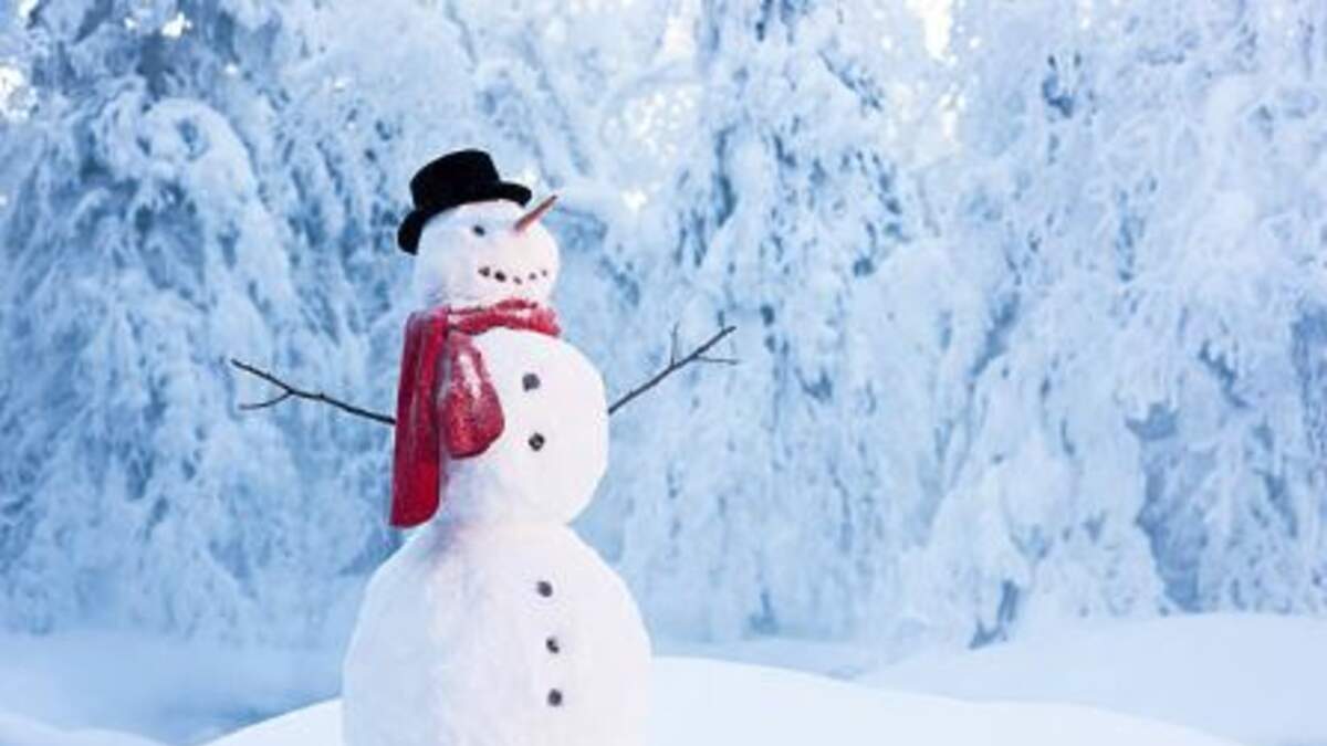Do You Want To Build a Snowman? Physics Can Help, Science