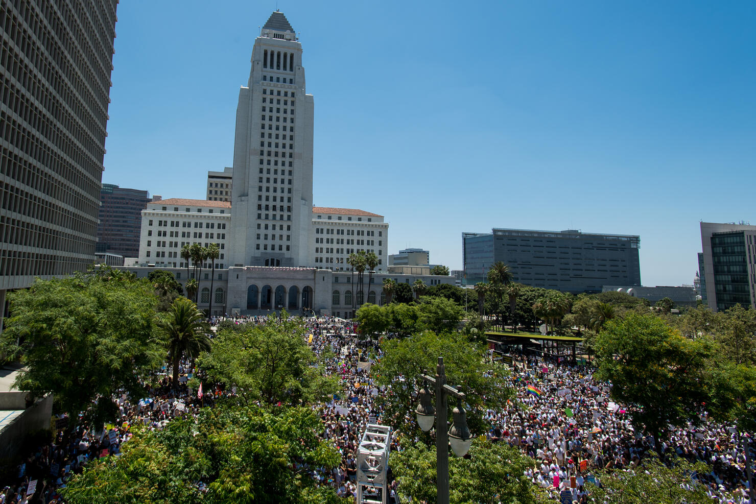 L.A. City Hall overrun with rats, stoke typhus fears