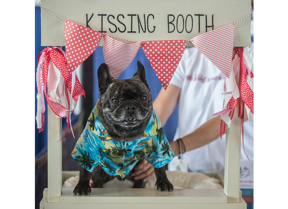 KGB Kissing Booth on Valentine's Day? Wait & see.