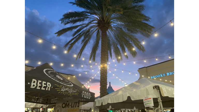 Holiday Tastings February 2019