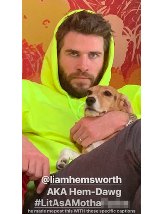 Miley Cyrus Shares Adorable Photo Of Liam Hemsworth Cuddling A Puppy   KISS FM