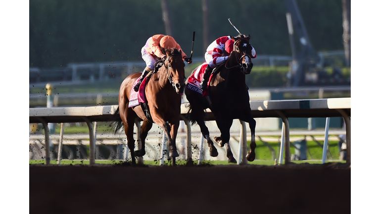 Santa Anita Facing Rash of Racehorse Deaths