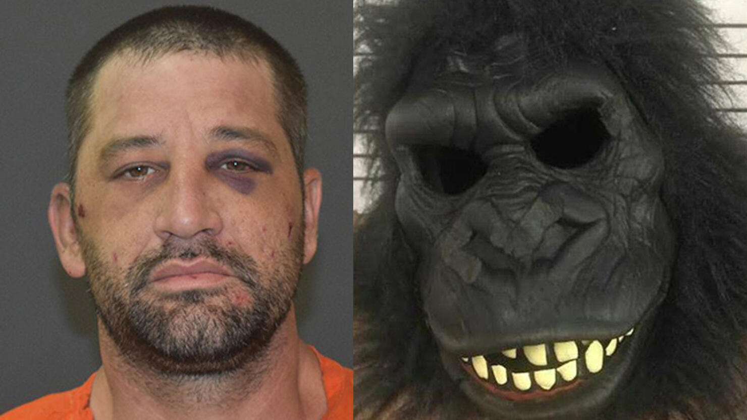 Man in Gorilla Mask arrested after found hiding under someone's bed