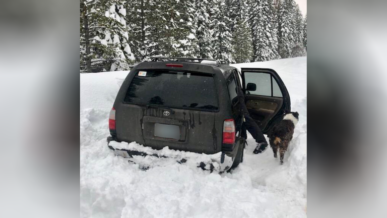 Man lost in snow for five days survived on Taco Bell sauce packets