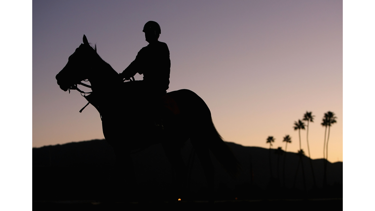 Racing, Protests Scheduled At Santa Anita Park After Another Horse Dies