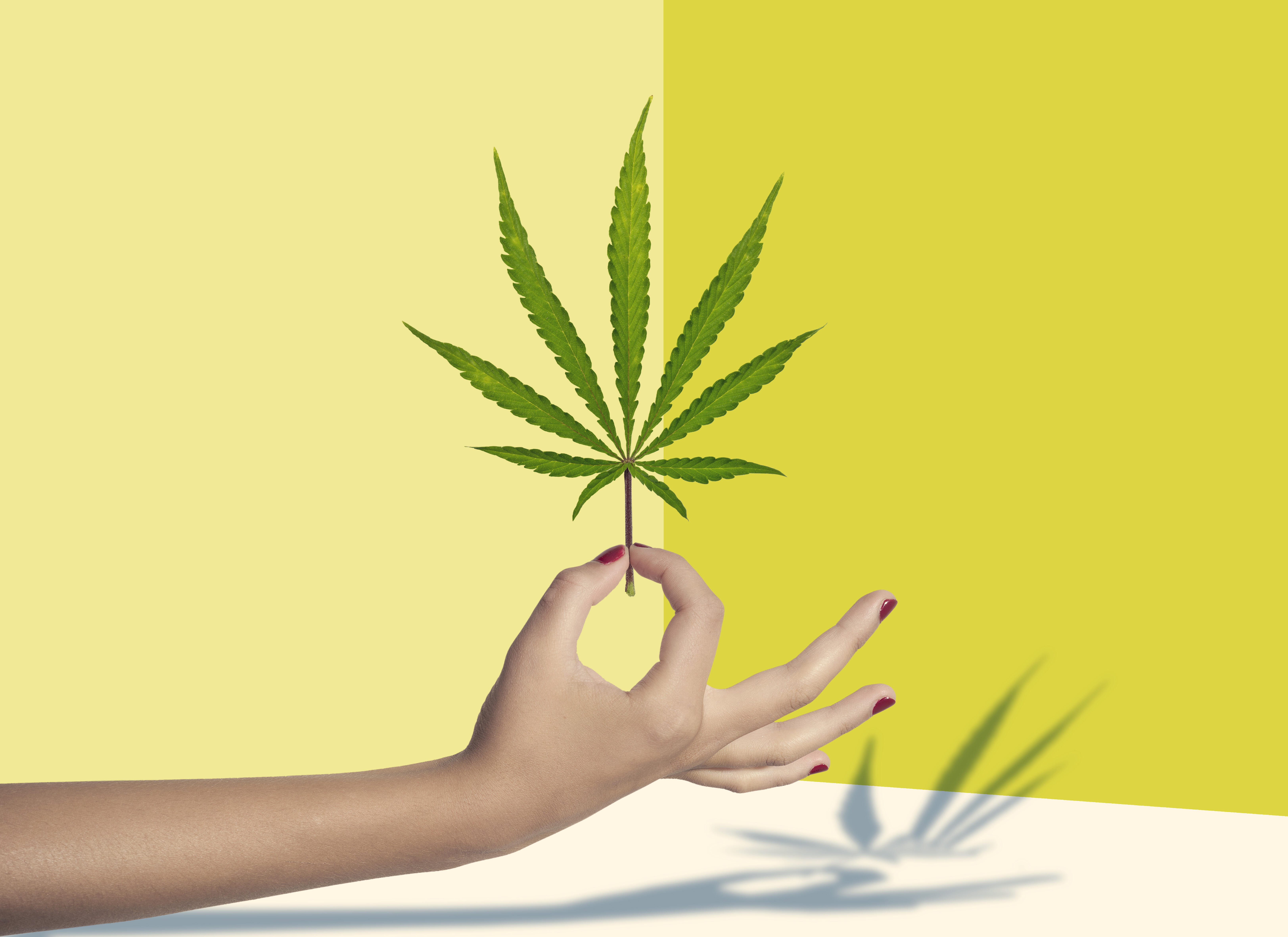 Women In Weed - Thumbnail Image