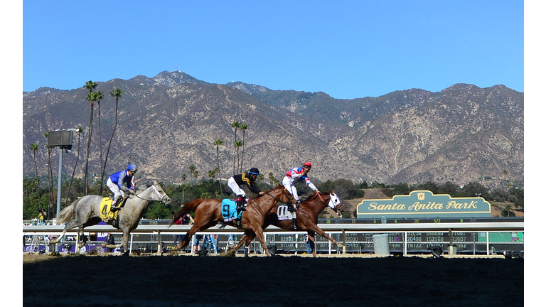 Training Resumes at Santa Anita Racetrack