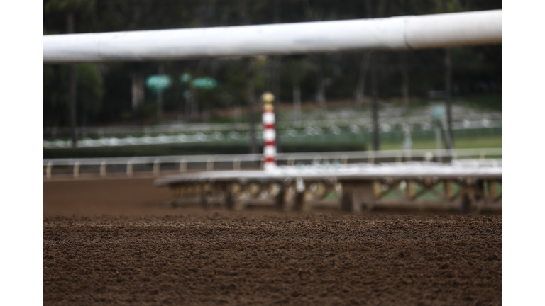 Another Horse Dies at Santa Anita Racetrack, the 22nd Since December