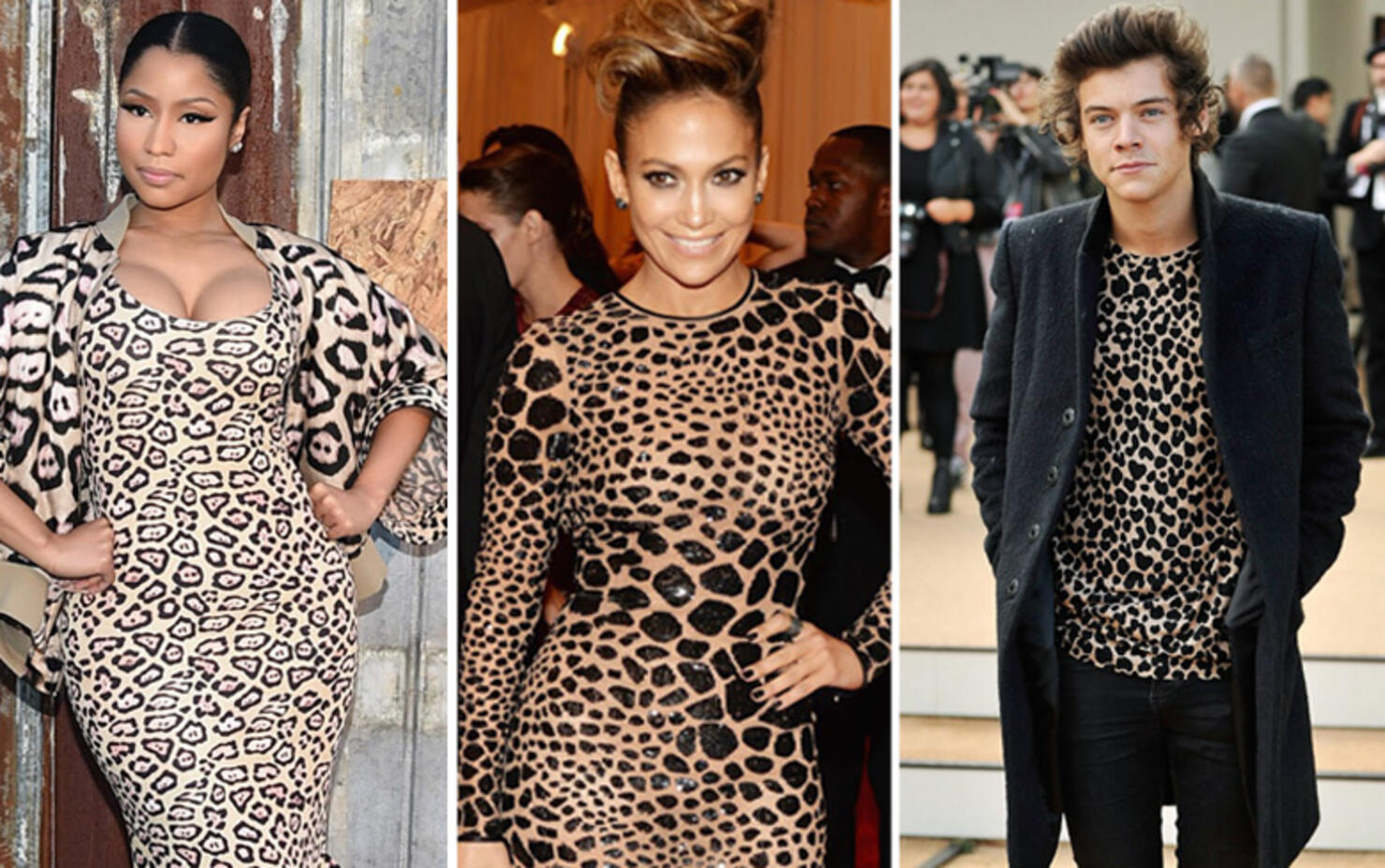 Wild Fashion: 15 Celebs Rocking Leopard Print