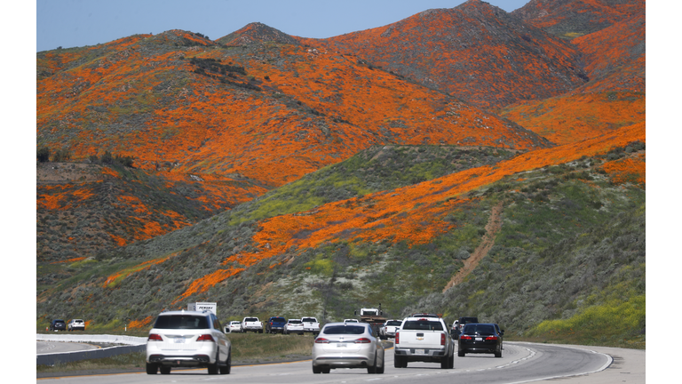 California officially drought free for first time in seven years