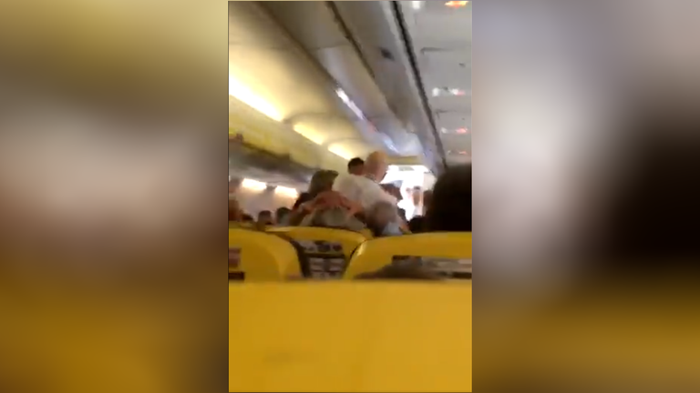 Ryan air midflight brawl 