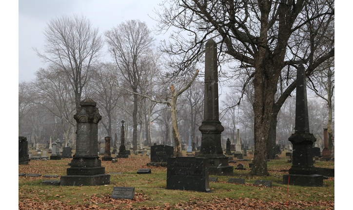 Fog over the dark cemetery