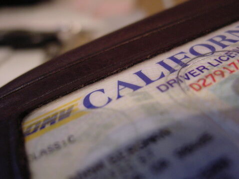 Driver's Licence