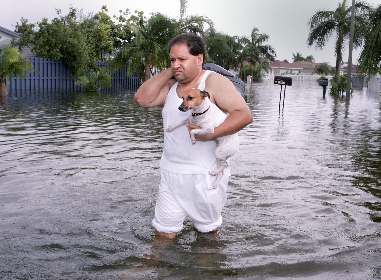 New bill would make it illegal to abandon pets during hurricanes